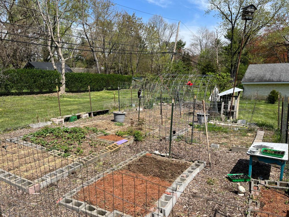 A garden with several raised beds, early in the season.