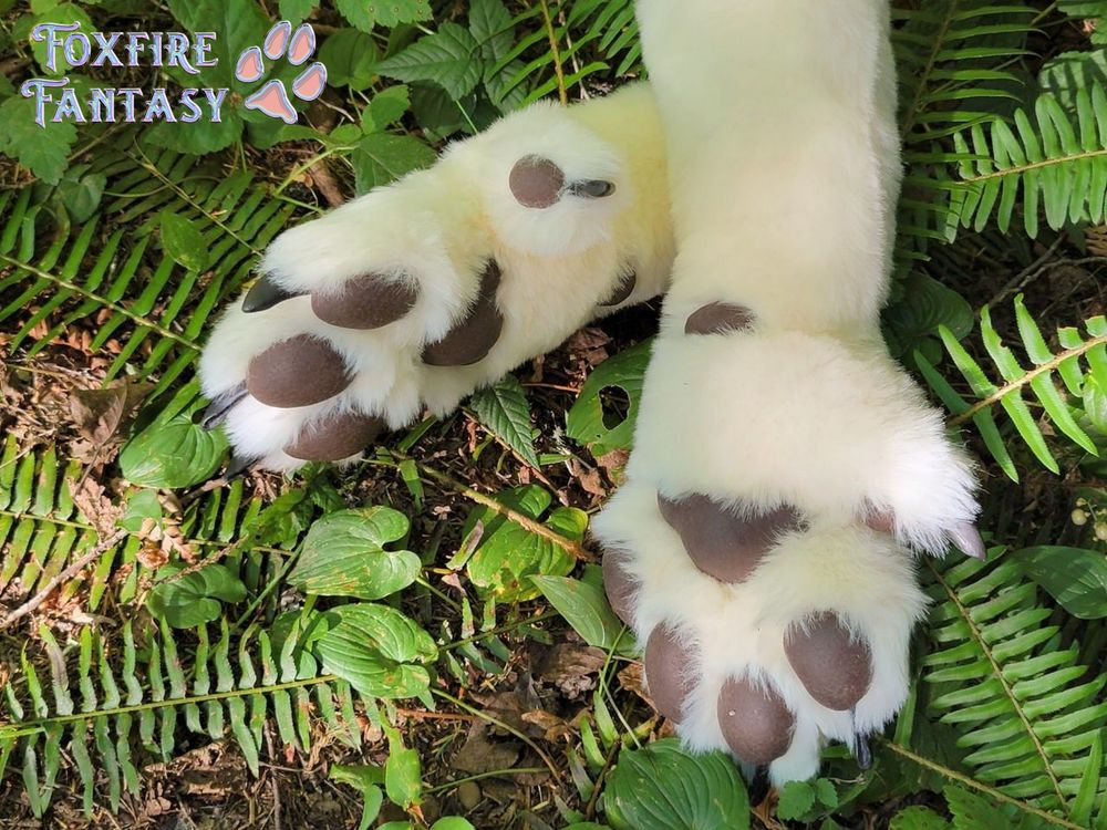 Dhole paws on the jungle floor 