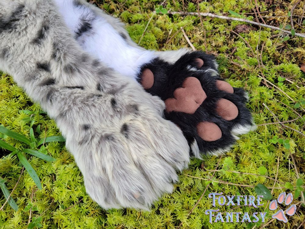Slim Feline Hand Pattern on moss