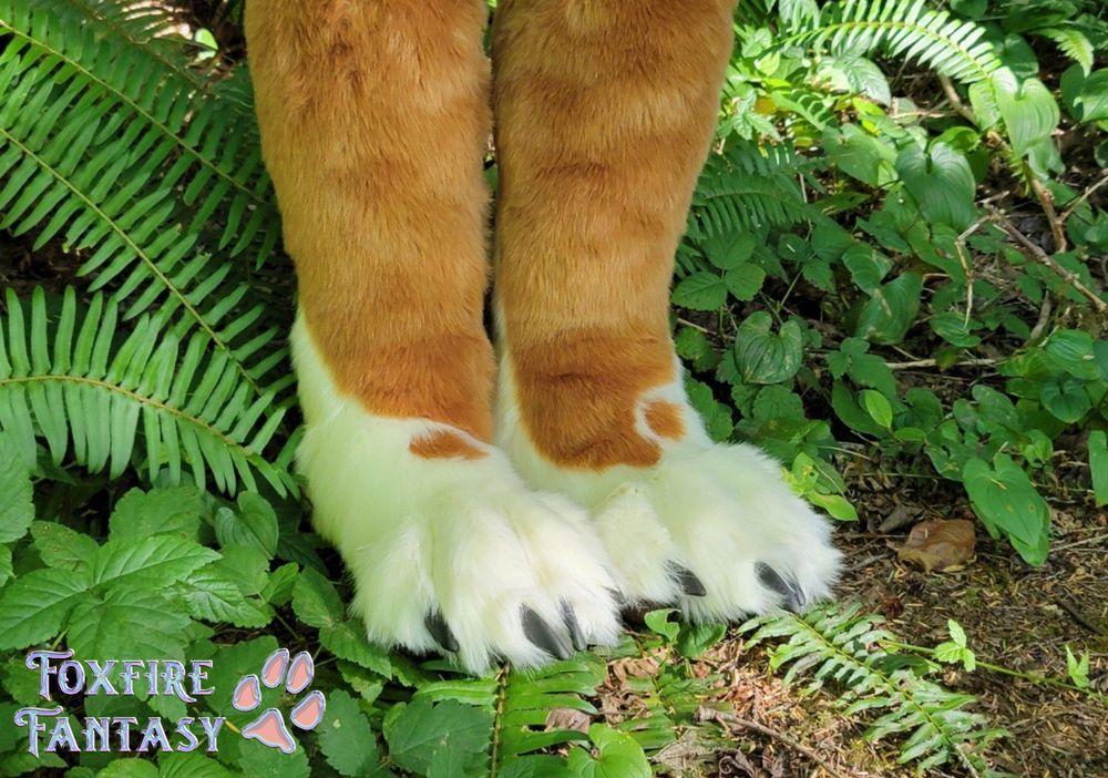Dhole paws on the jungle floor 
