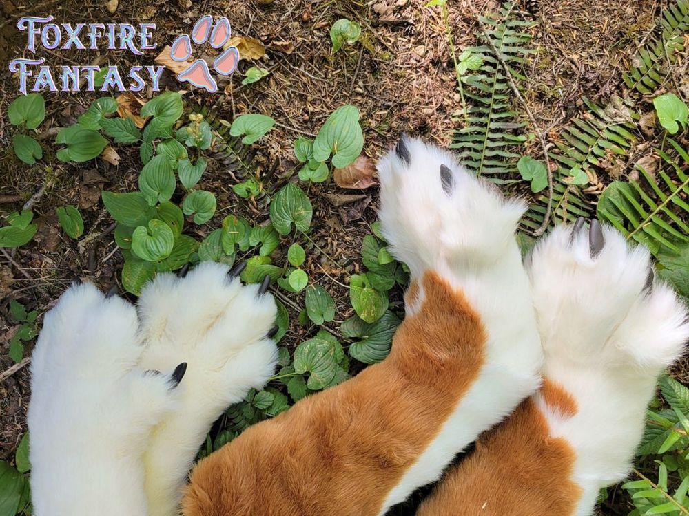 Dhole paws on the jungle floor 
