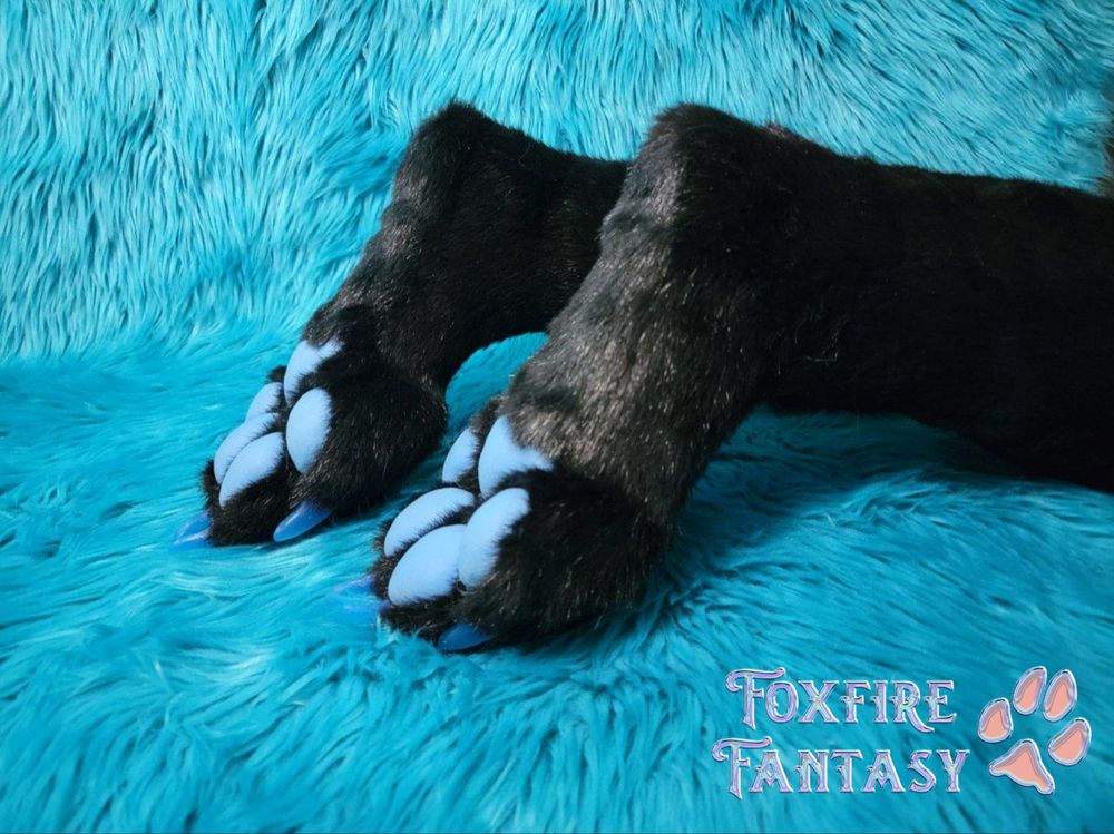 Wolf paws on turquoise fur background 