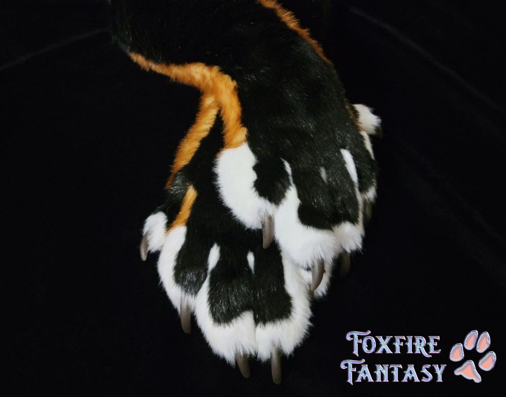 Fox handpaws modeled on black velvet 