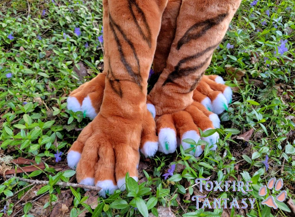 Our feline handpaws and footpaws sitting on a bed of flowering violet plants 