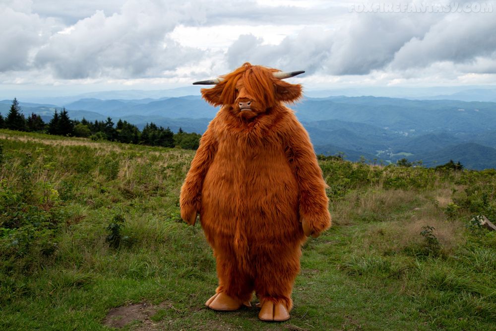 Beaus the Highland Bull, standing in his shaggy ginger roundness, atop a clearing on the Roan Highlands with the Blue Ridge Mountains of southern Appalachia sprawled behind him as a surrogate for the highlands of his original habitat. 