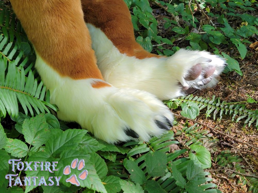 Dhole paws on the jungle floor 