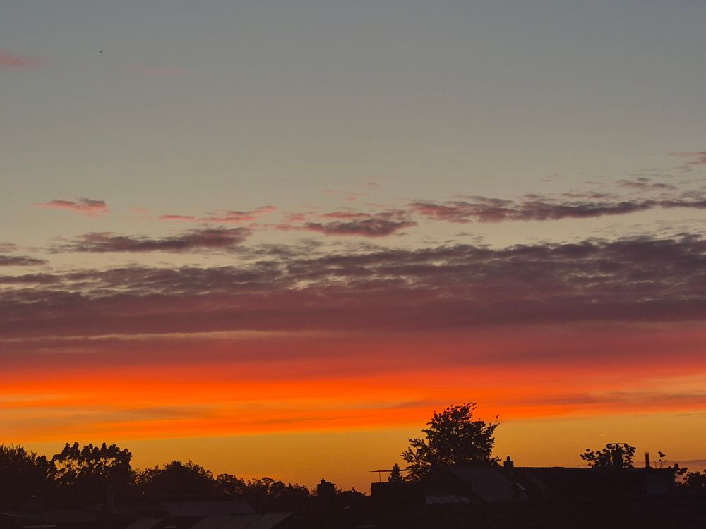 Sonnenaufgang in Orange