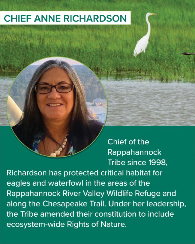 A graphic with a photo of a heron in a marsh, and a photo of Chief Anne Richardson, Chief of the Rappahannock Tribe since 1998, alongside a short bio about her