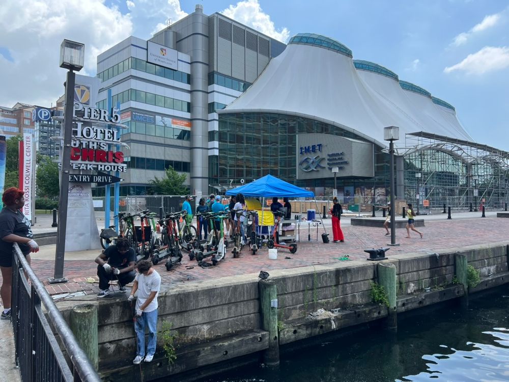 A group of people magnet fishing in the water of Baltimore's Inner Harbor outside the IMET building. They are gathered around a group of motorized scooters that they removed from the water