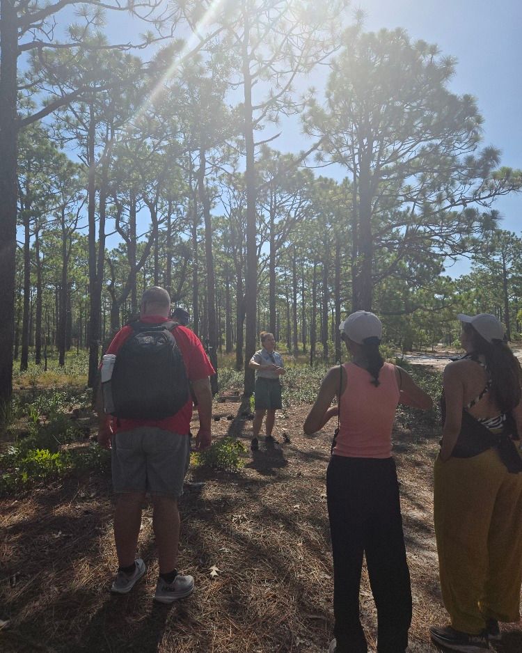 A group of young people stand in a pine forest and listen to a ranger talk