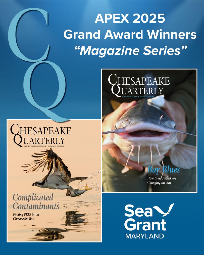 A graphic with "CQ: APEX 2025 Grand Award Winners 'Magazine Series'" and the covers of two issues of Chesapeake Quarterly magazine along with the Maryland Sea Grant logo