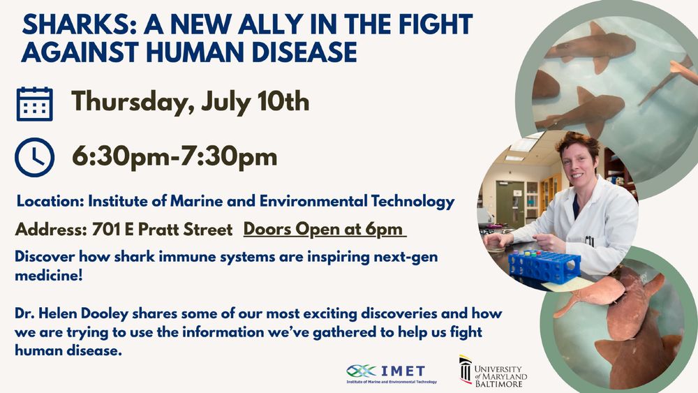 A flyer for a speaker event "Sharks: A new ally in the fight against human disease; Thursday, July 10, 6:30-7:30 p.m.; Location: Institute of Marine and Environmental Technology; Address: 701 E Pratt St"