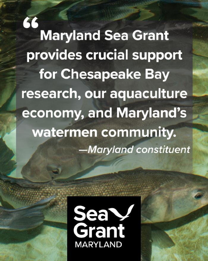 A photo of fish with the text "Maryland Sea Grant provides crucial support for Chesapeake Bay research, our aquaculture economy, and Maryland's watermen community. - Maryland constituent"