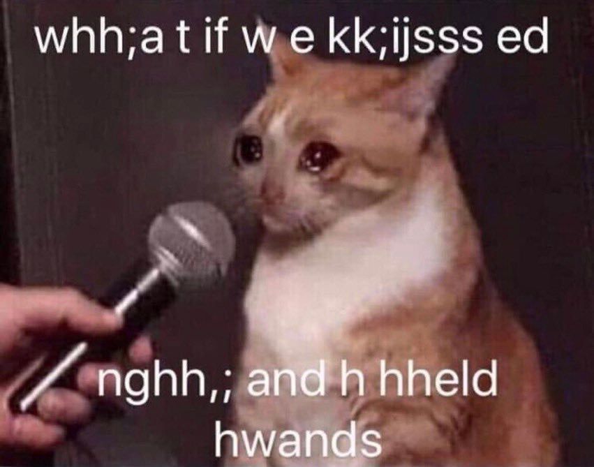 An orange and white cat welling up with tears during an interview with a mic held up to its face. It’s captioned “whh;a t if w e kk;ijsss ed nghh,; and h hheld hwands” 