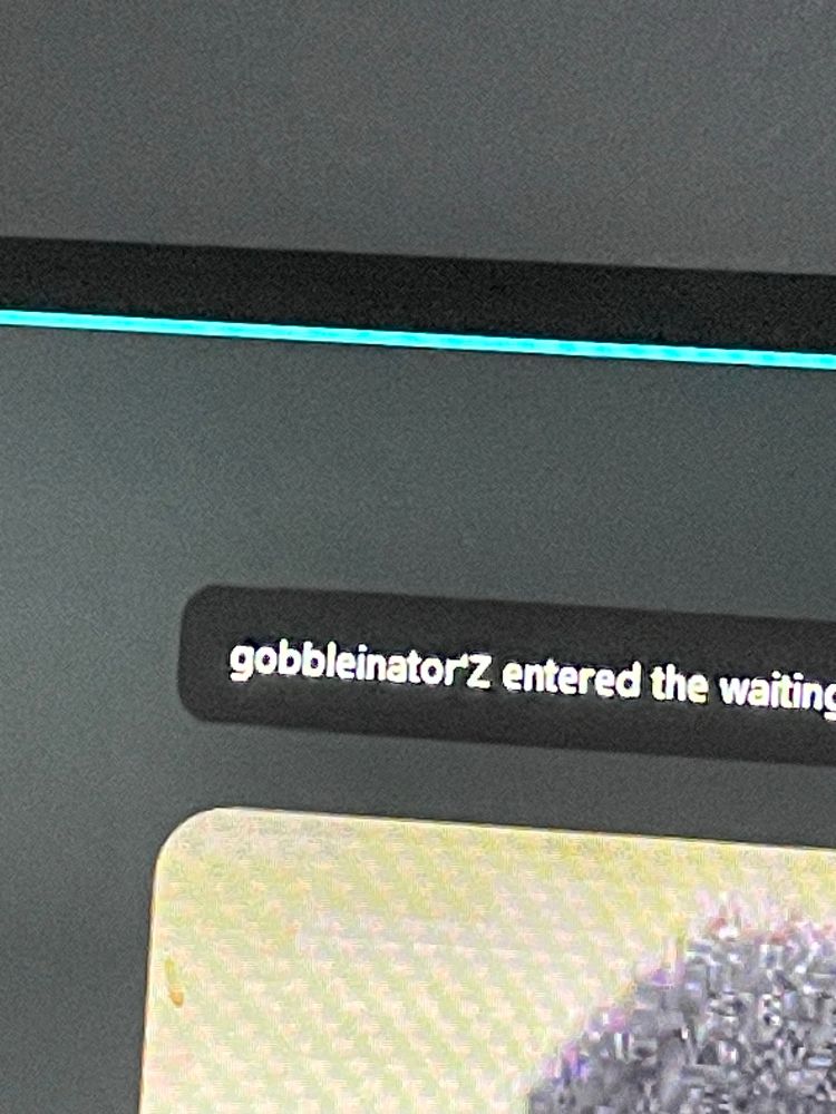 A blurry picture of a zoom meeting. You can see part of a profile picture featuring black woman’s afro. There’s a dialogue stating “gobbleinator’Z entered the waiting” 