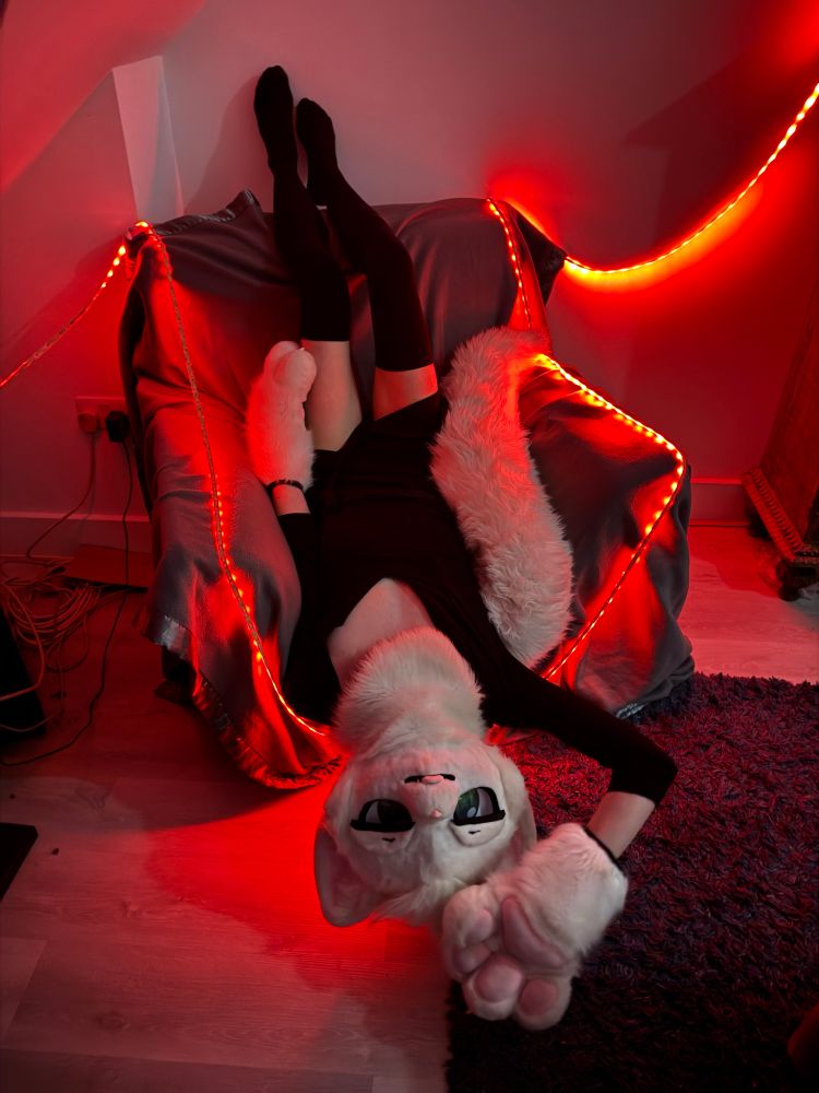 Liamm laying upside down on the same chair with a paw over his head