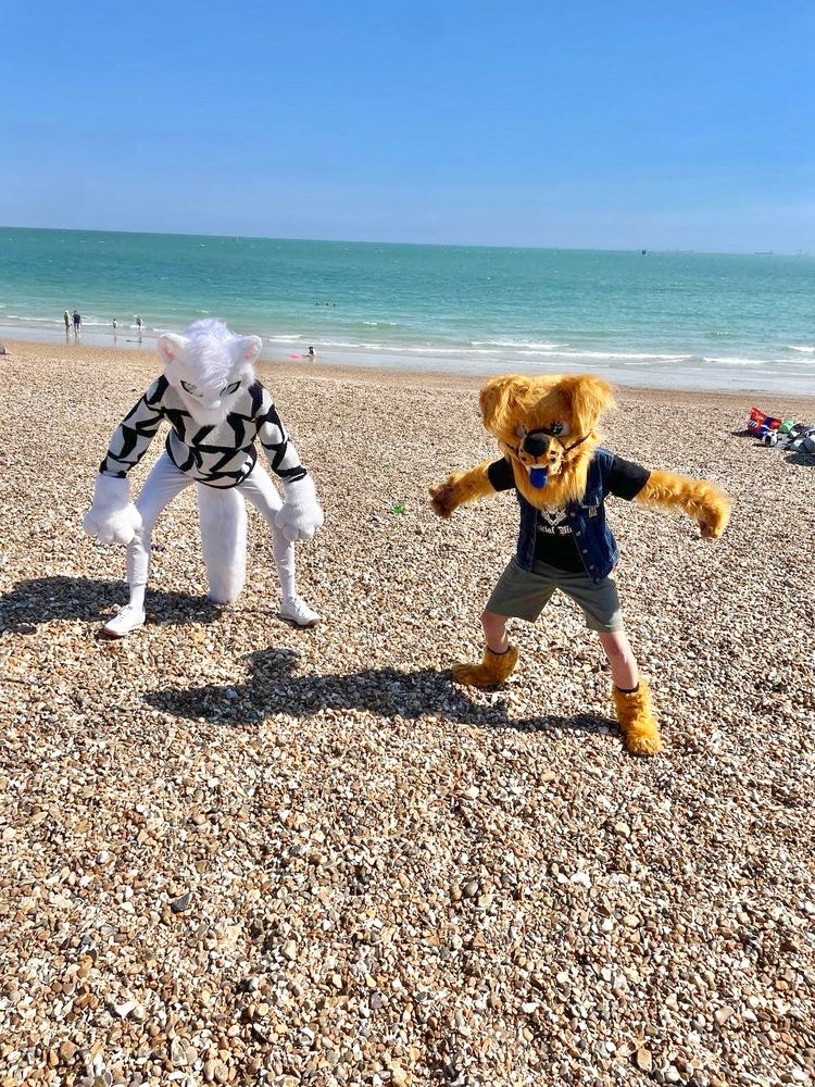 Liamm and an orange-brown dog both in a menacing stance on a pebble beach 