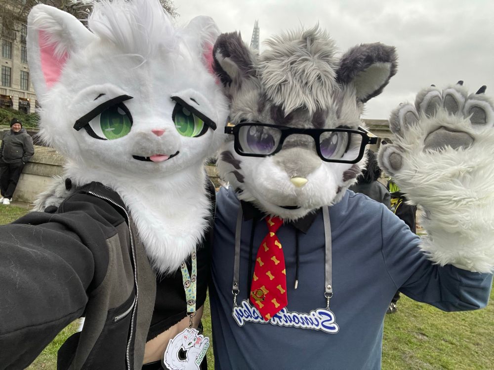 Liamm and and another (big?) cat suiter taking a selfie