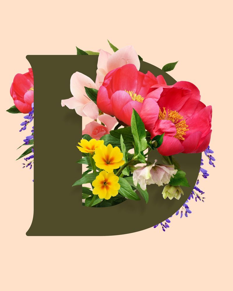 Large D icon with flowers