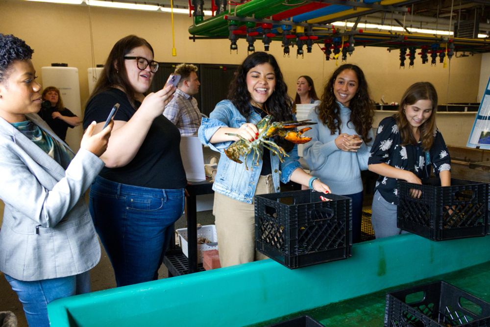 Metcalf Institute AWJ fellows picking out a lobster to measure and check for shell disease