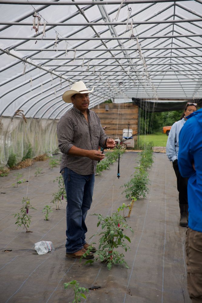 Cassius Spears with tomato plants