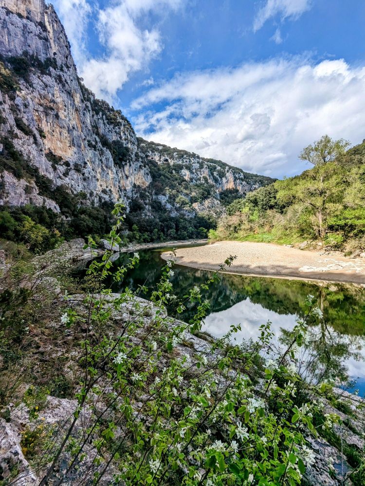 Fleurs blanches amélanchier au bord des Gorges de l'Ardèche entre verdure et ciel bleu nuageux / photo Voyage en Douce 
