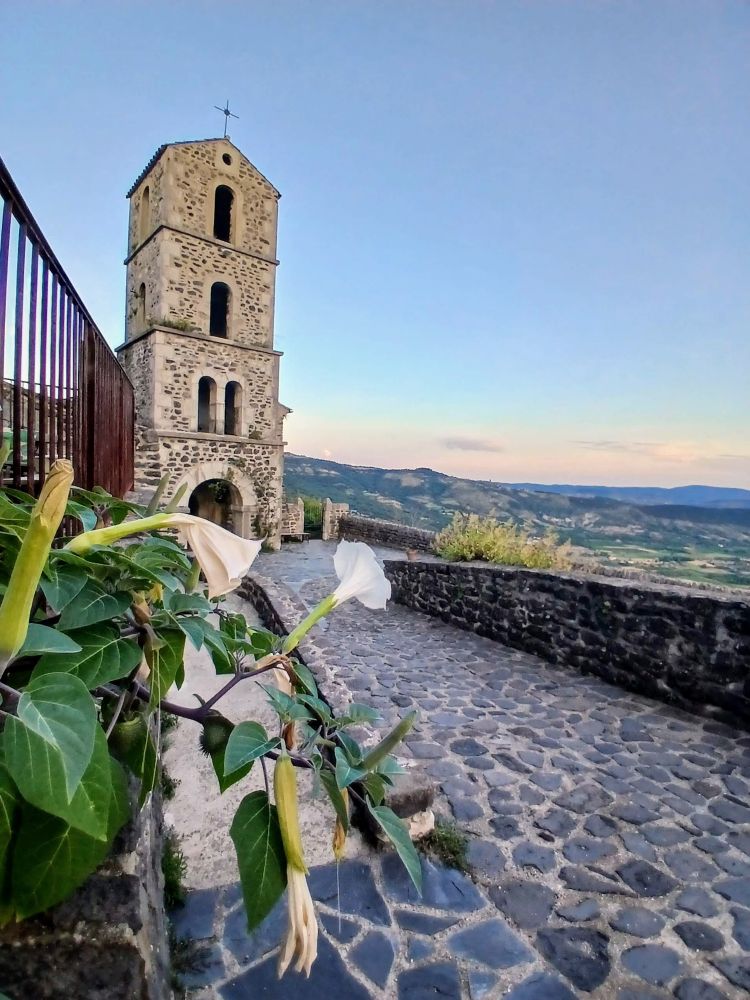 Daturas blancs devant l'église de Saint-Laurent-sous-Coiron et la vallée de l'Ardèche / photo Voyage en Douce 
