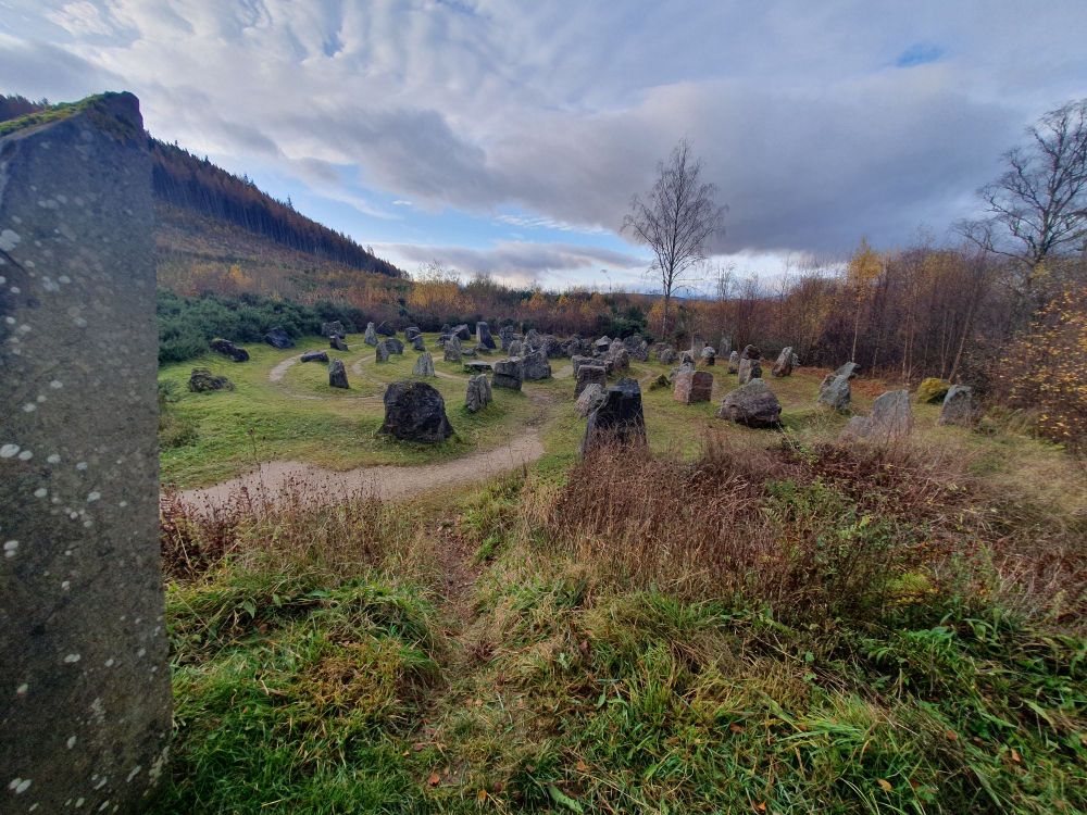 A maze of small standing stones surrounded by grass and trees