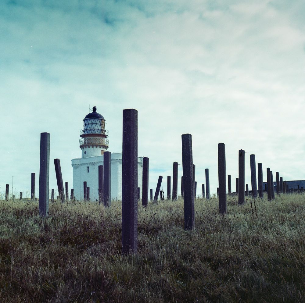 A white lighthouse with a black-domed lantern room stands on a grassy hill under an overcast sky. In the foreground and stretching into the distance are numerous tall, weathered wooden or concrete posts, creating a scattered vertical pattern across the landscape.