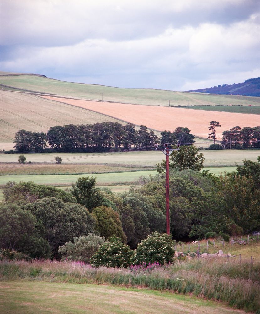 Pastoral landscape near the Cairngorms, shot on Kodak Ektar 100 with a Mamiya RB67. Rolling hills with green and golden fields stretch into the distance under a cloudy sky. A line of trees separates the fields, and a wooden telephone pole stands among dense greenery and wild grasses in the foreground.