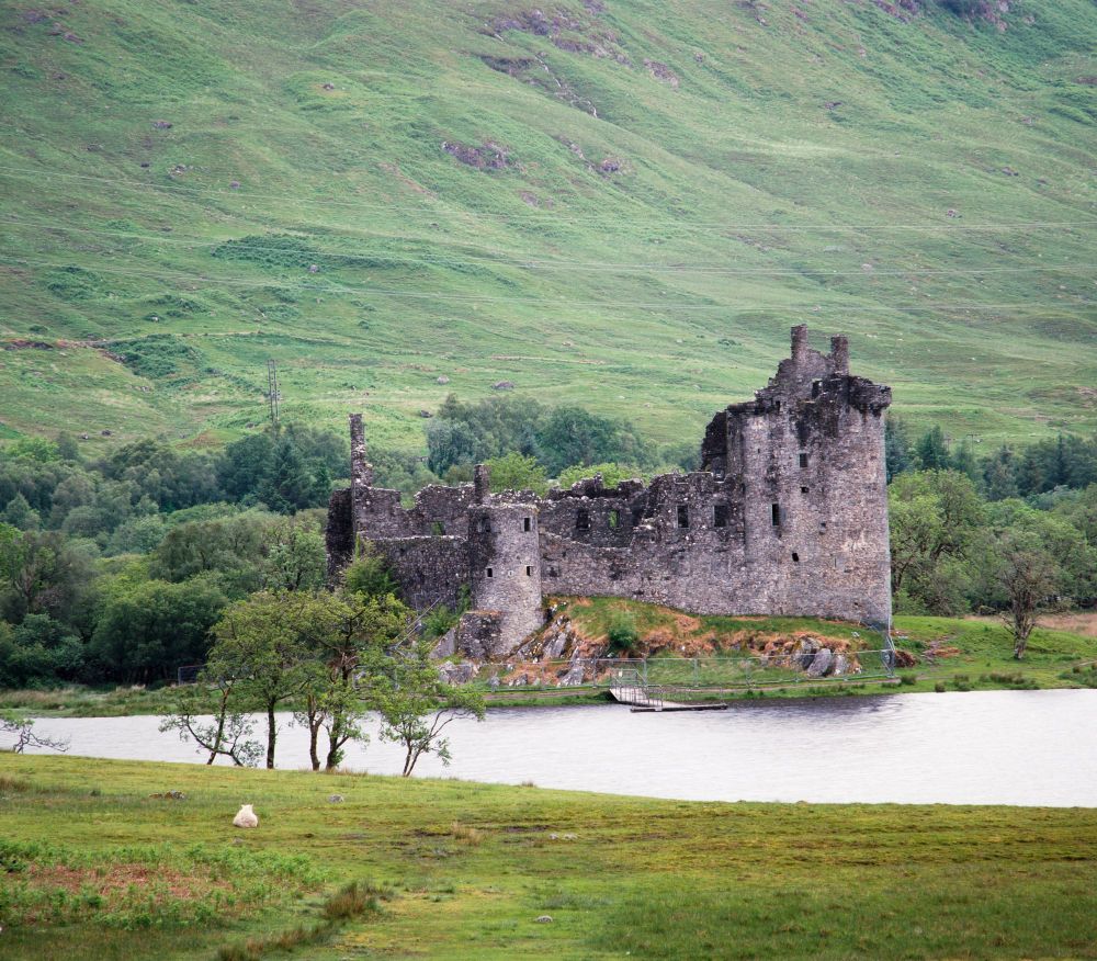 A richly detailed color film photograph of Kilchurn Castle ruins on the edge of Loch Awe in the Scottish Highlands, captured on Kodak Ektar film using a Mamiya RB67 medium format camera. The rugged stone structure stands partially intact against a backdrop of rolling green hills and dense forest, with soft overcast light enhancing the natural greens and textures. A small jetty extends into the calm loch in the foreground, and a lone sheep rests on the grass nearby.