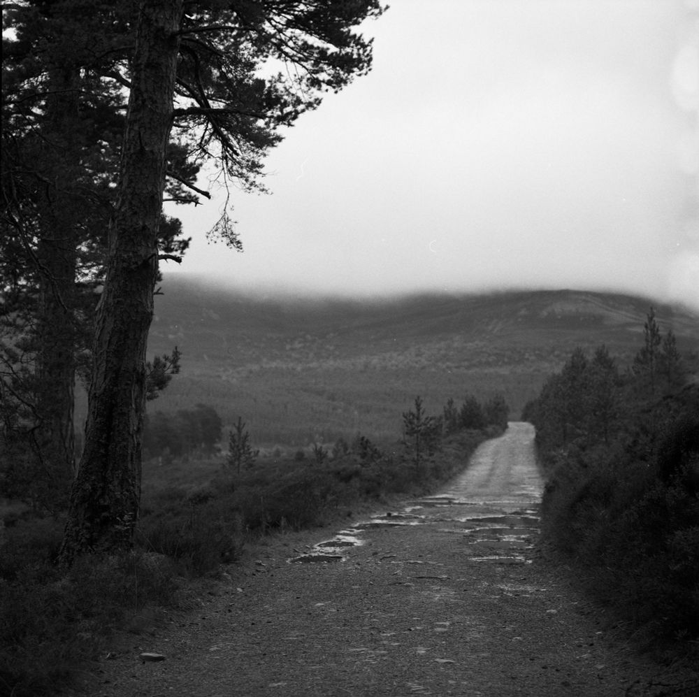 A black and white photograph of a rugged dirt path winding through a misty forest in the Cairngorms, Scotland. The path is flanked by pine trees and leads toward distant, fog-covered hills. The scene is moody and atmospheric, captured on Ilford Delta film using a Hasselblad camera.