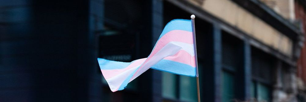 Where does the British public stand on transgender rights in 2024/25? | YouGov