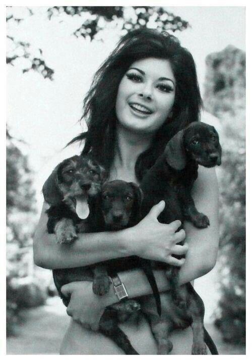 A photo of the beautiful actress Edwige Fenech holding three cute puppies.