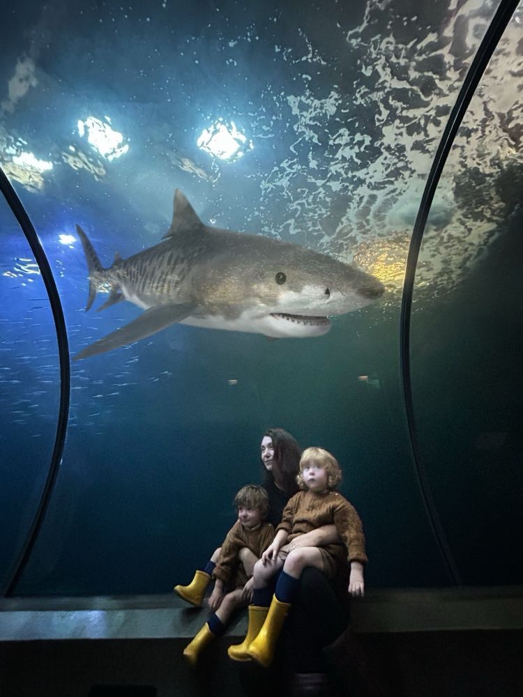 A woman holding two babies at an aquarium. A very large shark is edited into the aquarium behind them