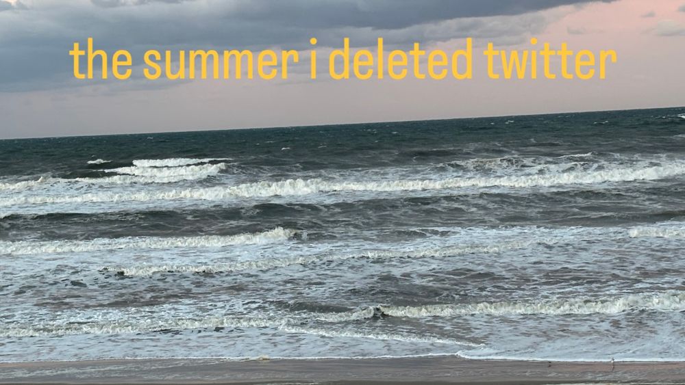 picture of a beach with the text: the summer i deleted twitter 