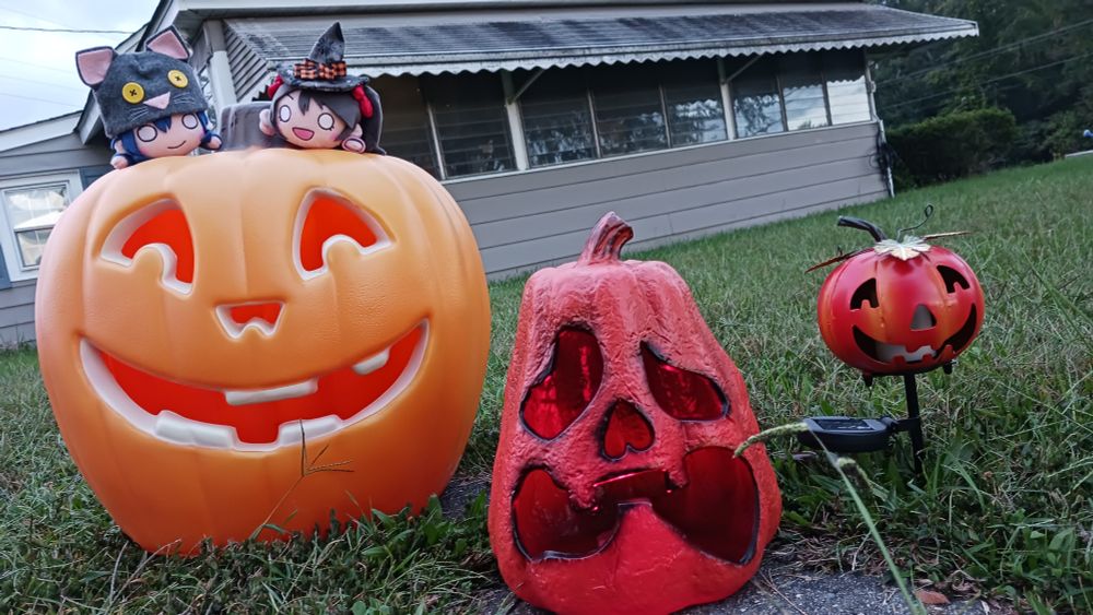 Nico and Umi supervising as I start to put out my pumpkin decorations.