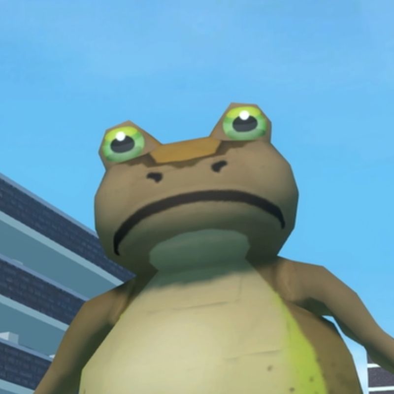 A Swindon frog stares point blank at the viewer. There isn't a single thought behind their vacant eyes.