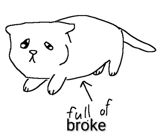 full of milk kitten meme edited to say full of broke