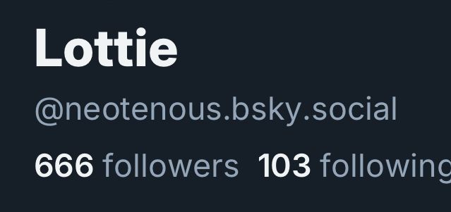phone screenshot displaying my account having 666 followers 