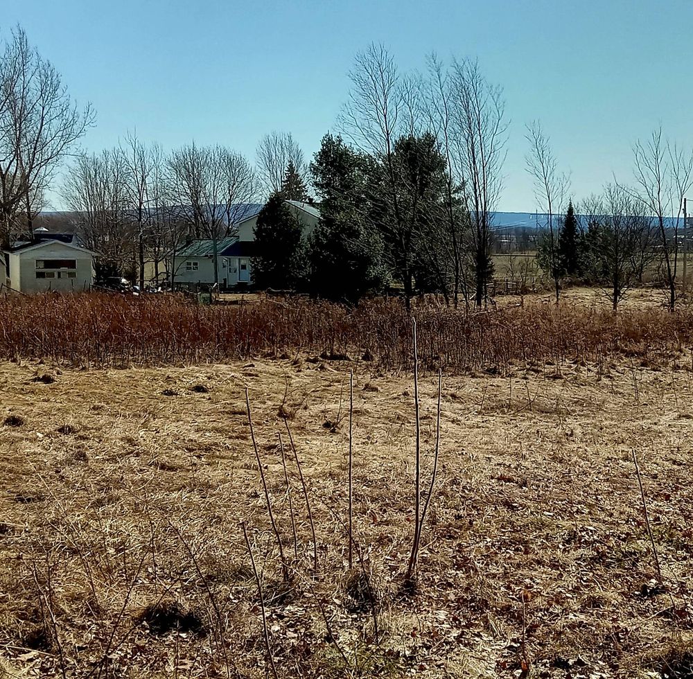 The view from an early-spring pasture in southwest Quebec which shows the NY border at the top of a small mountain 10 km in the distance.