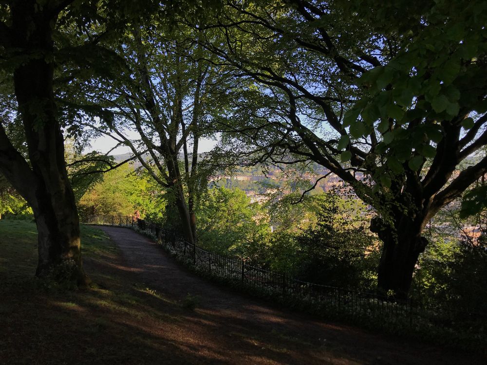 A path through a public park, where dense trees and foliage provide shade on a sunny day. Through the greenery, in the city below, the celebrated Royal Crescent Georgian townhouses can just about be discerned (at the centre of the image). Alexandra Park, Bath, UK. Photo by Gearóid Burke.