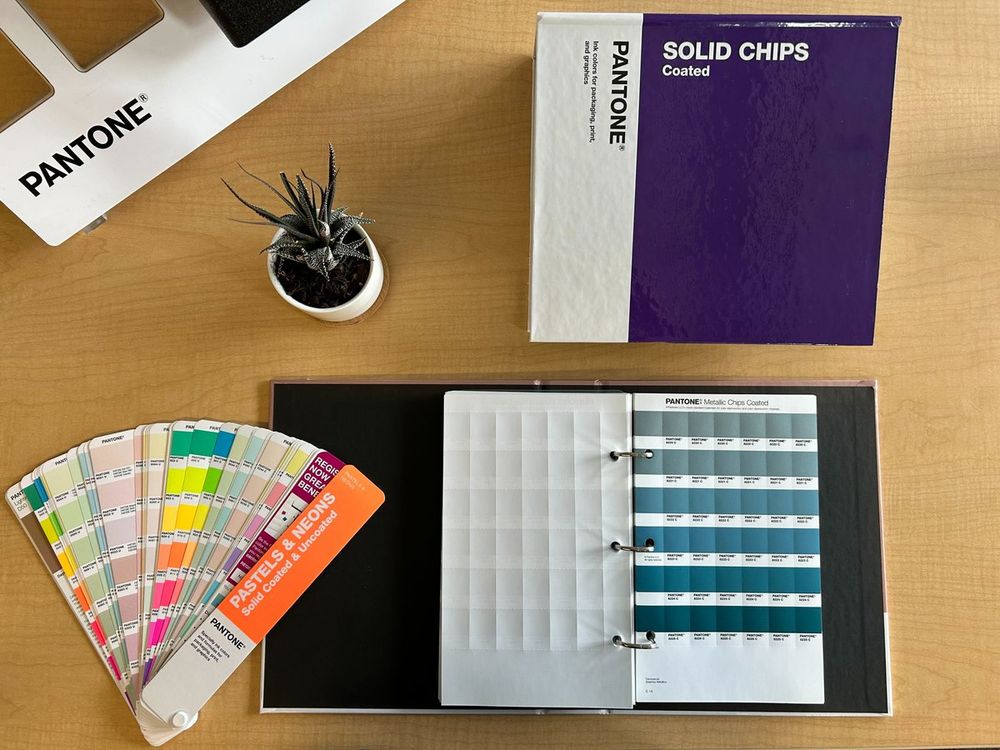 A selection of Pantone reference collection materials accompanied by a succulent.