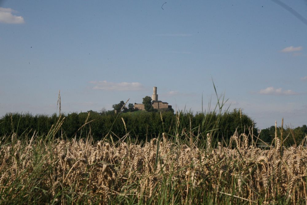 Foto einer Burg auf einem kleinen Berg. Die Burg ist im Hintergrund. Der Vordergrund ist von einem Getreidefeld bedeckt.