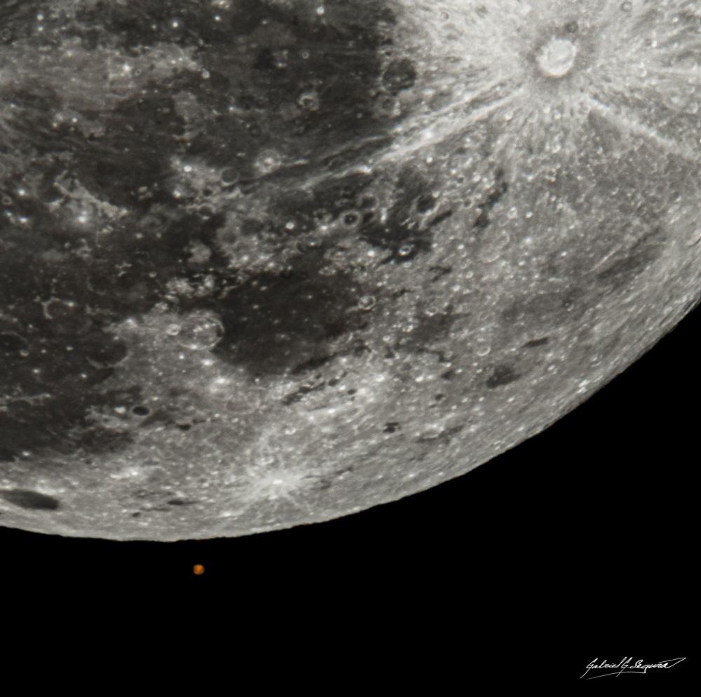 Here are four of the many photos I captured of the #occultation of #Mars tonight from my property in central Texas. Zoom in to see the dark shield volcano Syrtis Major Planum and light polar ice cap. I used a #NikonD850 DSLR on a 14" f/10 #Meade #LX200 SCT. 1/250 sec, ISO 100.