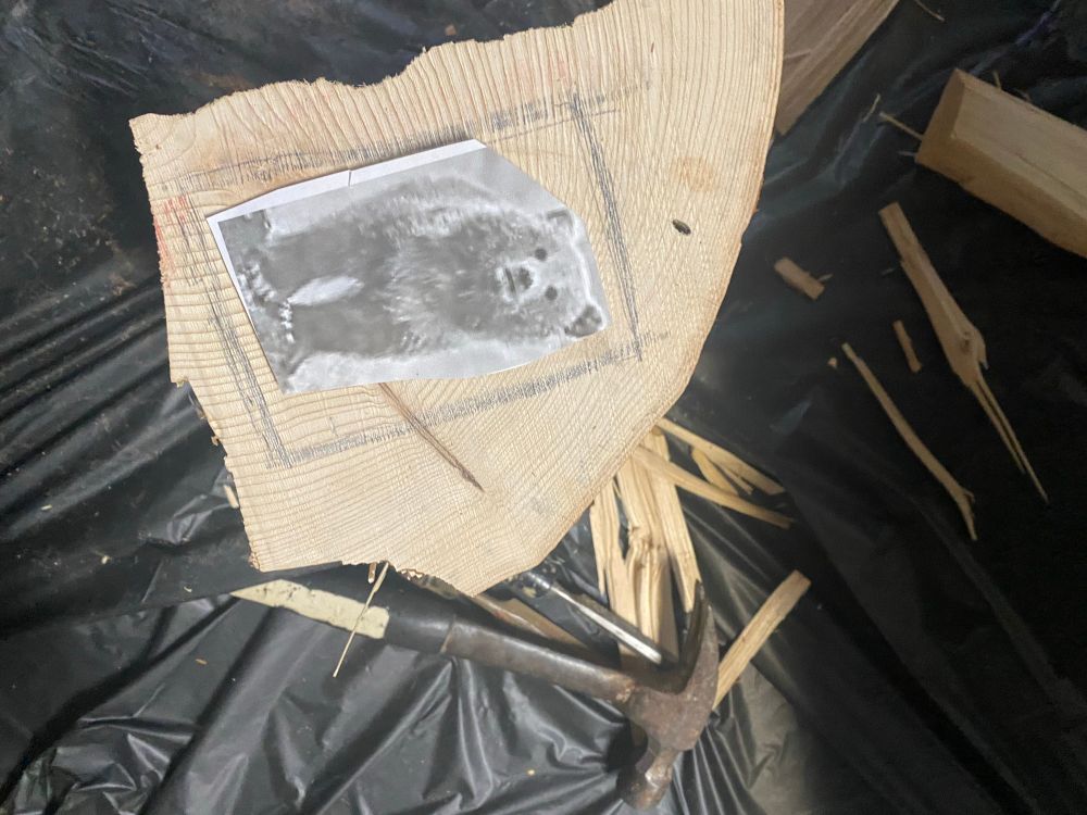 A quarter log of mystery wood I used a chisel to cut to size (image of bear for scale)