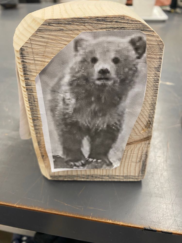 Mystery wood I used a belt sander during class time to get to a rough shape, same image of bear for scale