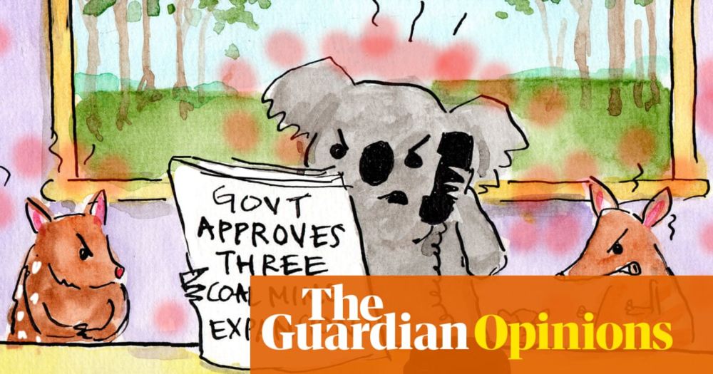 What turns a cute Australian mammal into a political animal? | Fiona Katauskas