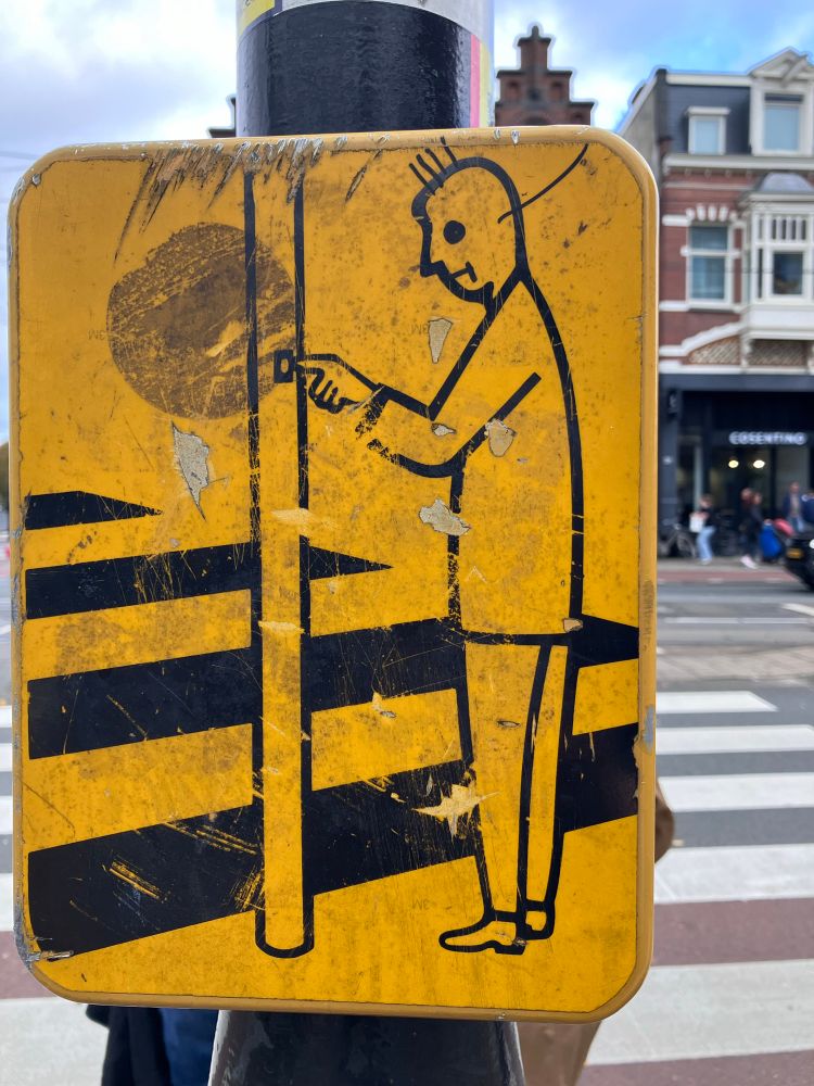 Directional signal for pedestrian crossing 