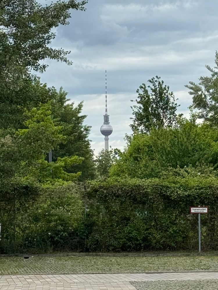 Ein Foto mit Blick auf den Fernsehturm in Berlin aus Richtung des Mauerparks durch Bäume hindurch aufgenommen. 